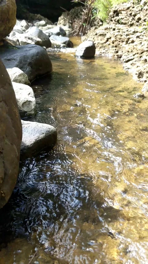 Clear water flowing between the river rocks 3 Stock Footage 207444207