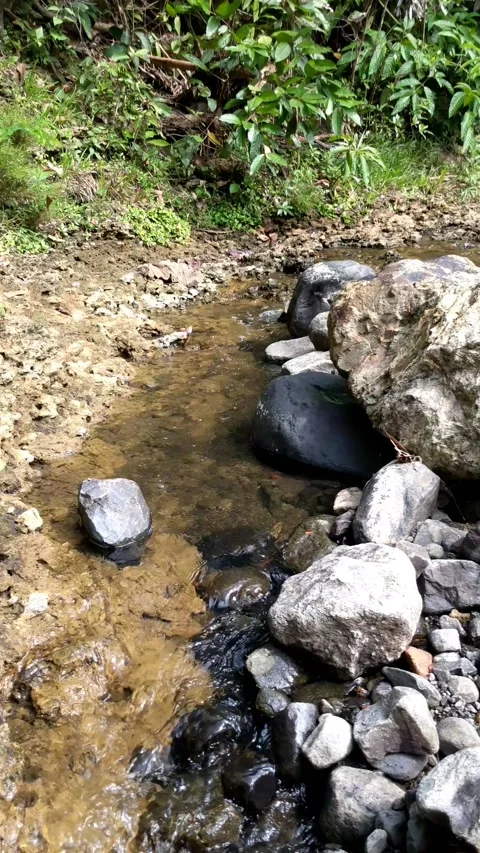 Clear water flowing between the river rocks Stock Footage 207444430