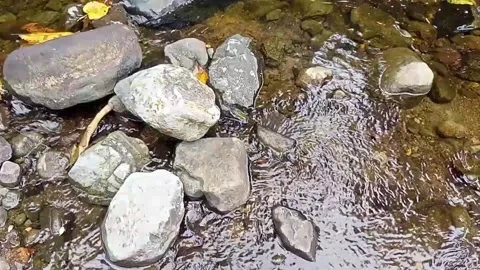 Clear water flowing between the rocks in the river 30 Stock Footage 206181969