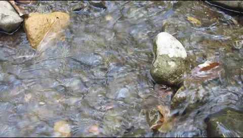 Clear water flowing Stock Footage 219726128