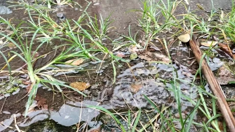 Clear water flowing Stock Footage 232986009