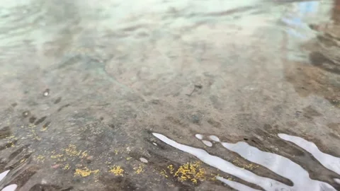 Clear water flowing Stock Footage 232986025