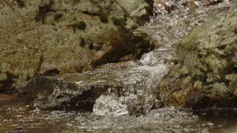 Clear water flowing Stock Footage 279662648