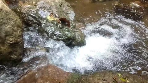 Clear water flowing in the mountains Stockbeeldmateriaal 332917353