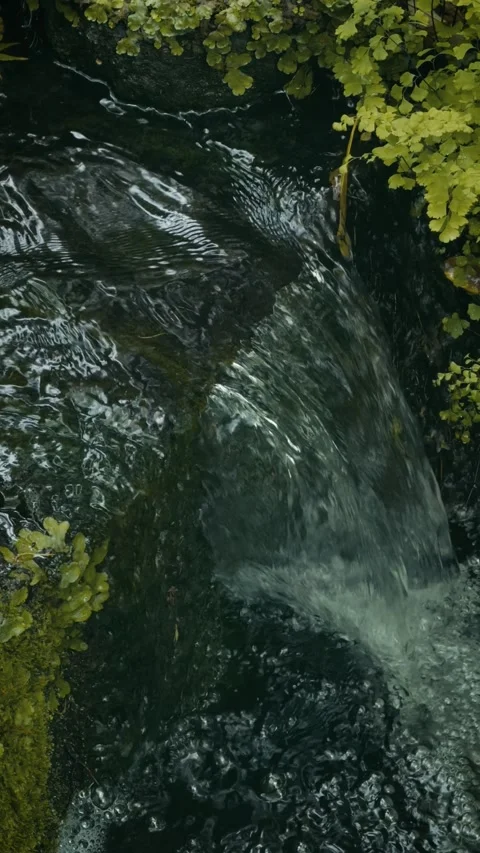 Clear water flowing over dark rocks creating a small cascade 库存影片 346274444