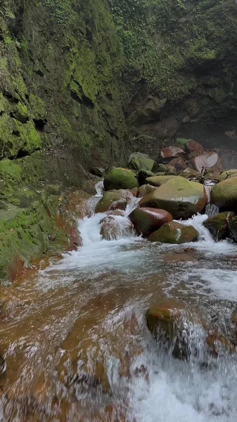 Clear Water Flowing Over Moss-Covered Rocks in a Vibrant Natural Stream Stock Footage 321104147