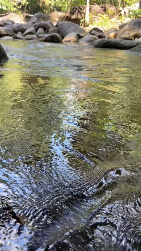 Clear water flowing over river rocks in a lush natural environment Stock Footage 327043186