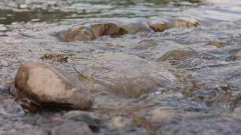 Clear Water Flowing Over River Stones in Shallow Mountain Stream Video stock 341943626