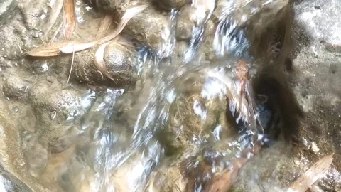 Clear Water Flowing Over Riverbed Vídeos de archivo 334836683