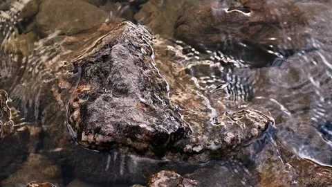 Clear Water Flowing Over Rock in Shallow Stream Stock Footage 345715548