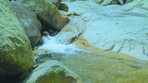 Clear Water Flowing Over Rocks | Tranquil Stream in Nature's Serenity Stock Footage 286933149