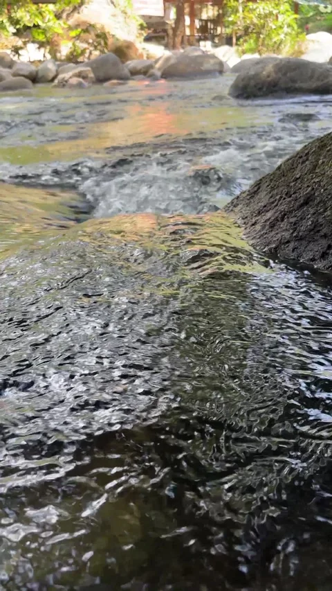 Clear water flowing over rocks in a tropical river Stock Footage 327043157