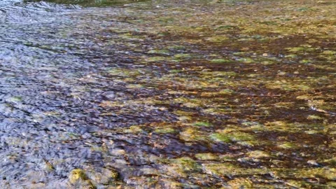 Clear water flowing over rocks and moss in a natural stream 库存影片 331655495