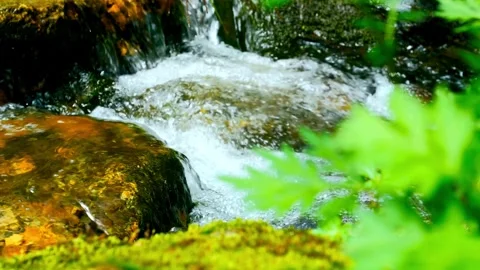 Clear water flowing over rocks in small forest stream Video stock 332282024