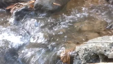 Clear Water Flowing Over Rocks 動画素材 334798339