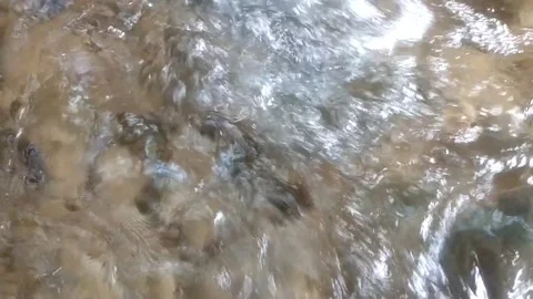 Clear Water Flowing Over Rocks Stockbeeldmateriaal 334798493