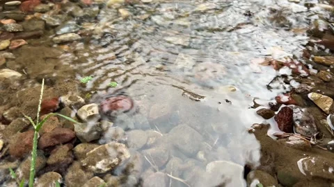 Clear water flowing over small stones Stock Footage 344717395