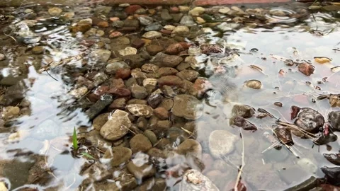 Clear water flowing over small stones and pebbles Stock Footage 344798836