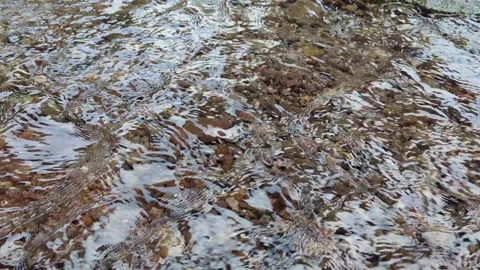 Clear water flowing over smooth river stones, pebbles, creating abstract, t.. Video stock 322557563