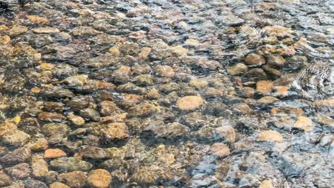 Clear Water Flowing Over Smooth River Stones in Kenrokuen Garden Vidéo 331898332