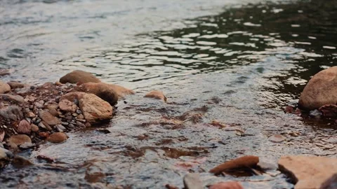 Clear Water Flowing Over Smooth River Stones in a Peaceful Natural Creek Setting Video stock 342026636