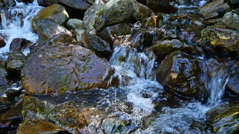 Clear Water Flowing Over Wet Rocks in Mountain Stream Stock Footage 345712744