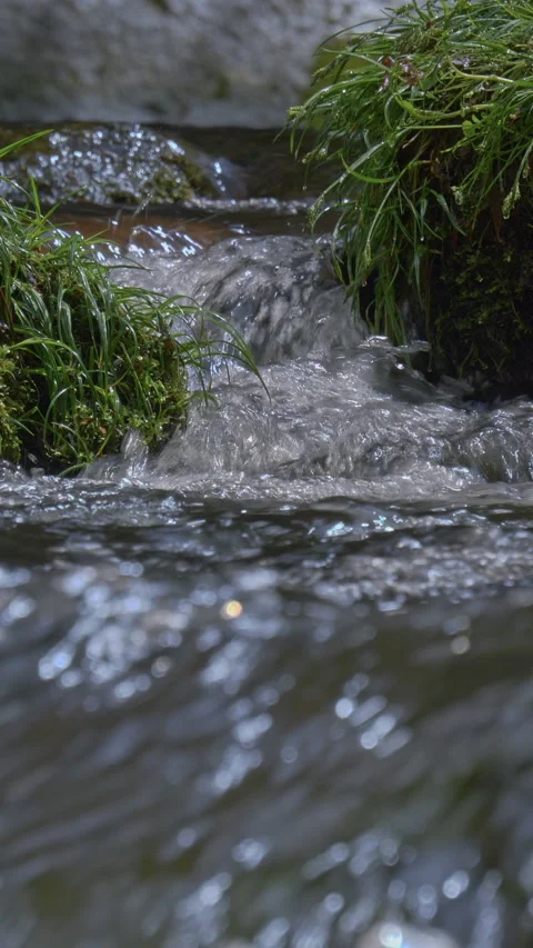 Clear Water Flowing Past Mossy Rocks Vertical Video 库存影片 346067404