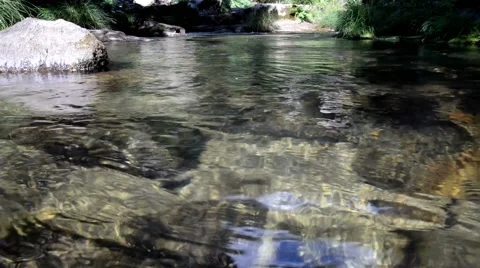 Clear water flowing on river. Vídeo Stock 48960369