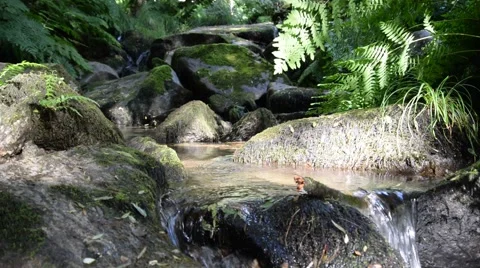Clear water flowing on river. Stock Footage 48963462
