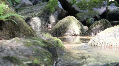 Clear water flowing on river. Stock Footage 48964628