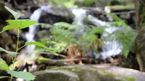 Clear water flowing on river. Stock Footage 48966317