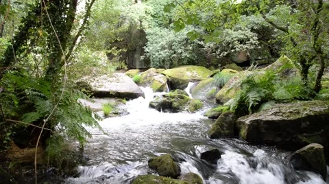 Clear water flowing on river. 스톡 동영상 48971468