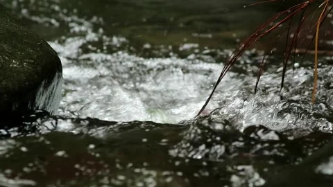 Clear water flowing in the river Stock-Footage 259717529
