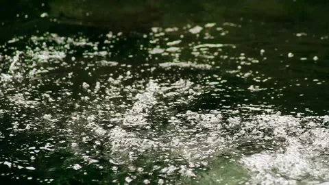 Clear water flowing in the river Stock Footage 259852259