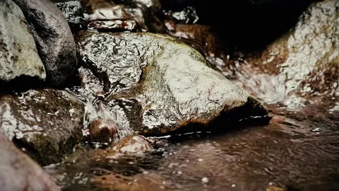 Clear water flowing in the river Video stock 259852263