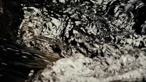 Clear water flowing in the river Stock Footage 259852268