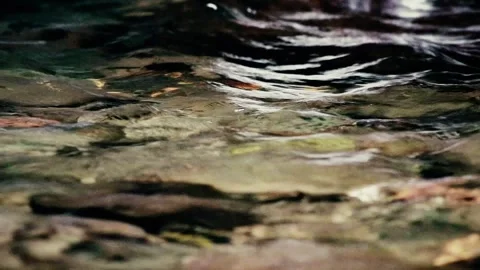Clear water flowing in the river Video stock 259852456