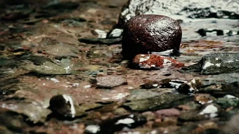 Clear water flowing in the river Stock Footage 259852866