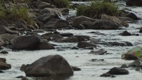 Clear water flowing rock Stock Footage 280195951