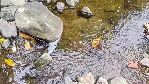 Clear water flowing on the rocks of a small river 34 Stock Footage 206181682