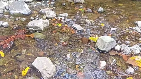 Clear water flowing on the rocks of a small river 33 Stock Footage 206181686