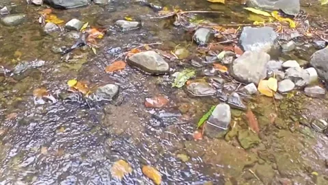 Clear water flowing on the rocks of a small river 29 Stock Footage 206182003