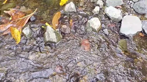 Clear water flowing on the rocks of a small river 28 Stock Footage 206182046