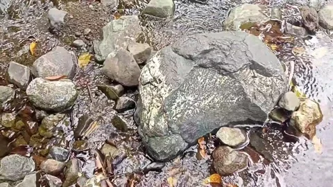 Clear water flowing on the rocks of a small river 17 Stock Footage 206185357