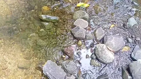 Clear water flowing on the rocks of a small river 12 Stock Footage 206185653