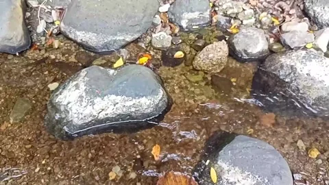 Clear water flowing on the rocks of a small river 11 Stock Footage 206185655