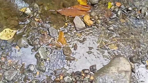 Clear water flowing on the rocks of a small river 4 Stock Footage 206185988