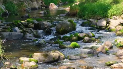 Clear water flowing in rocky river the water looks so fresh Stock Footage 220787083