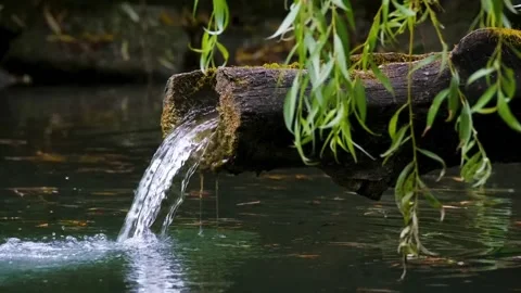 Clear water flowing in the shower made of bamboo Stock Footage 220786763