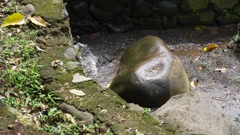 Clear water flowing from a small moss-covered stone drain into a shallow stream. Stock Footage 327406616